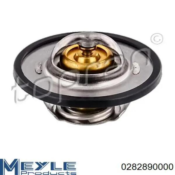 Compre 0282890000 Meyle Termostato