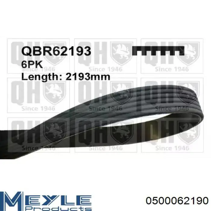 Compre A010997919264 Mercedes Correia dos conjuntos de transmissão