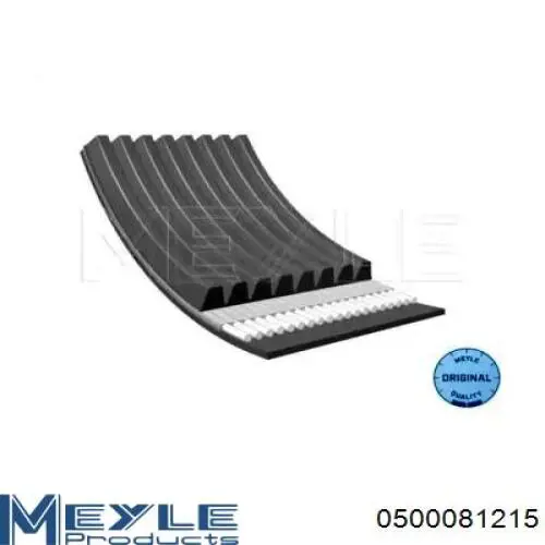 Compre 8PK1215 Continental/Siemens Correia dos conjuntos de transmissão