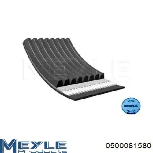 Compre 8PK1575 Dayco Correia dos conjuntos de transmissão