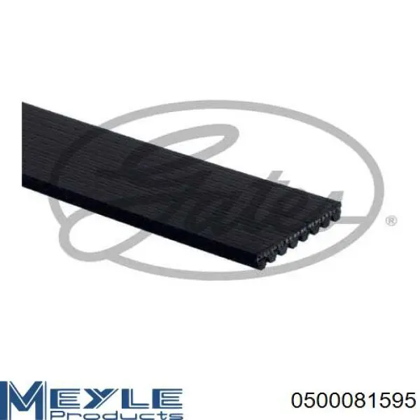 Correia dos conjuntos de transmissão 8PK1600HD Dayco