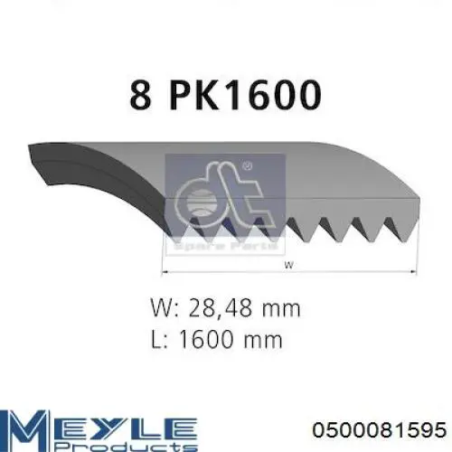 Compre 8PK1600HD Dayco Correia dos conjuntos de transmissão