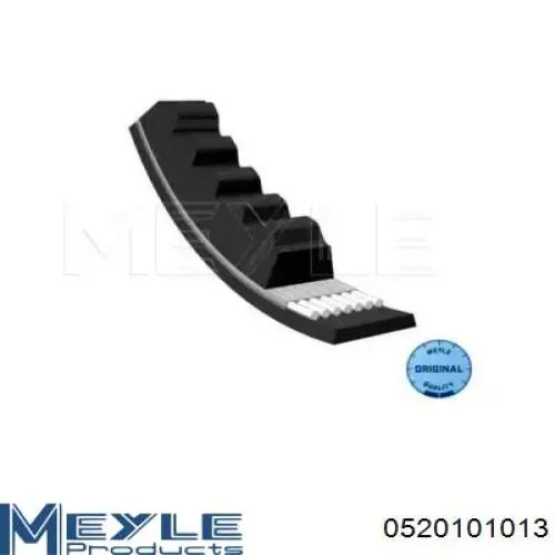Compre 10A1010C Dayco Correia dos conjuntos de transmissão