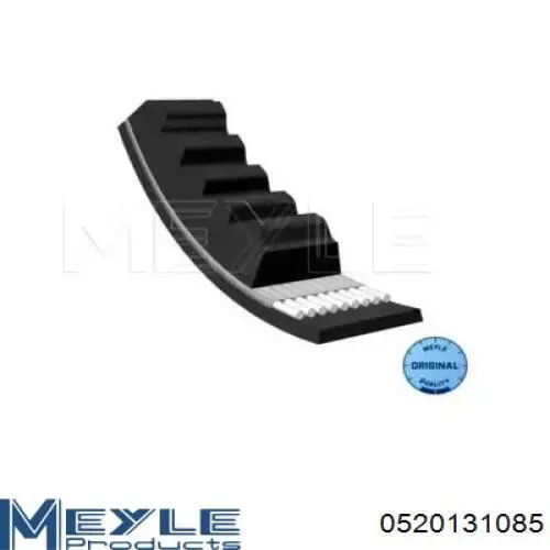 Compre AVX13X1085 Continental/Siemens Correia dos conjuntos de transmissão