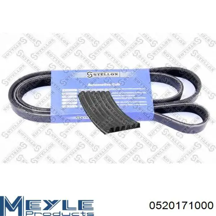 Compre AVX17X1000 Continental/Siemens Correia dos conjuntos de transmissão