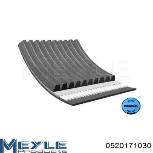 Compre VKMV17AVX1030 SKF Correia dos conjuntos de transmissão