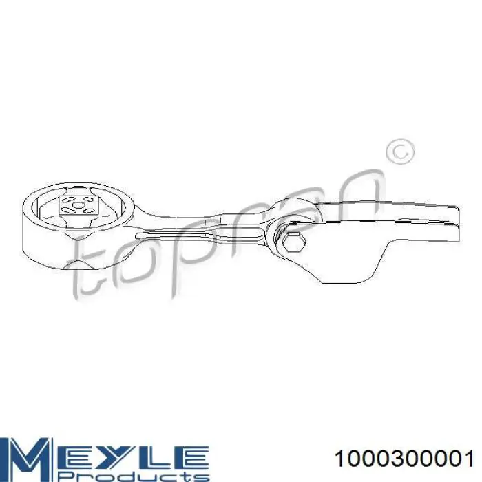 Compre 1000300001 Meyle Coxim (suporte) traseiro de motor