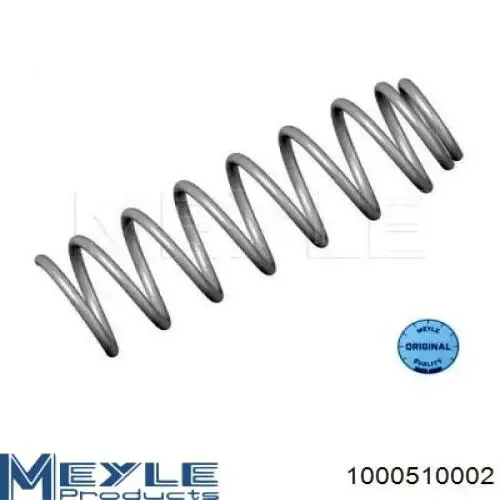 Mola traseira 1000510002 Meyle