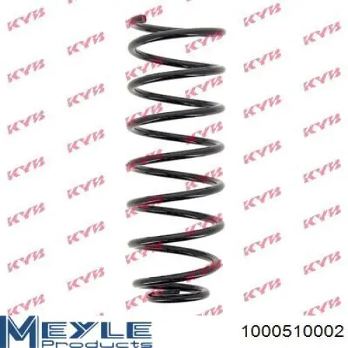 Mola traseira SR044TP Raiso