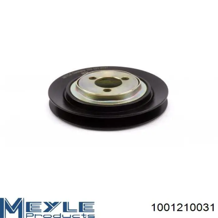 1001210031 Meyle Polia da bomba de água