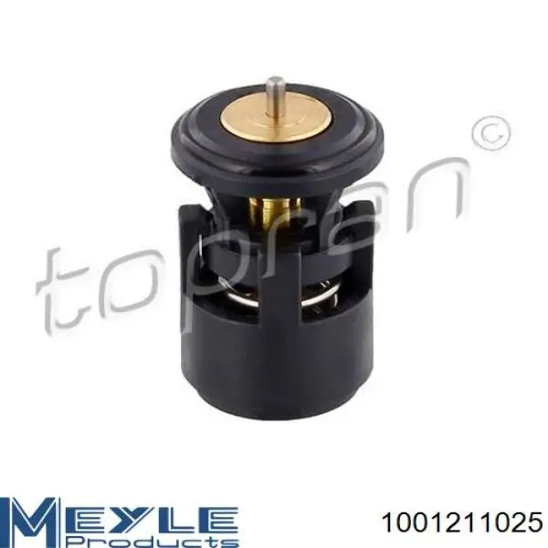 Compre 1001211025 Meyle Termostato