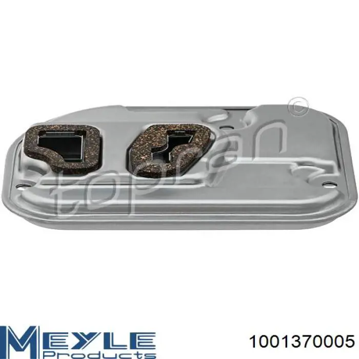 Compre 1001370005 Meyle Filtro da Caixa Automática de Mudança