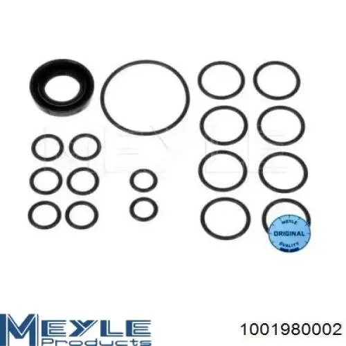 Compre 1001980002 Meyle Kit de reparação da bomba da Direção hidrâulica assistida
