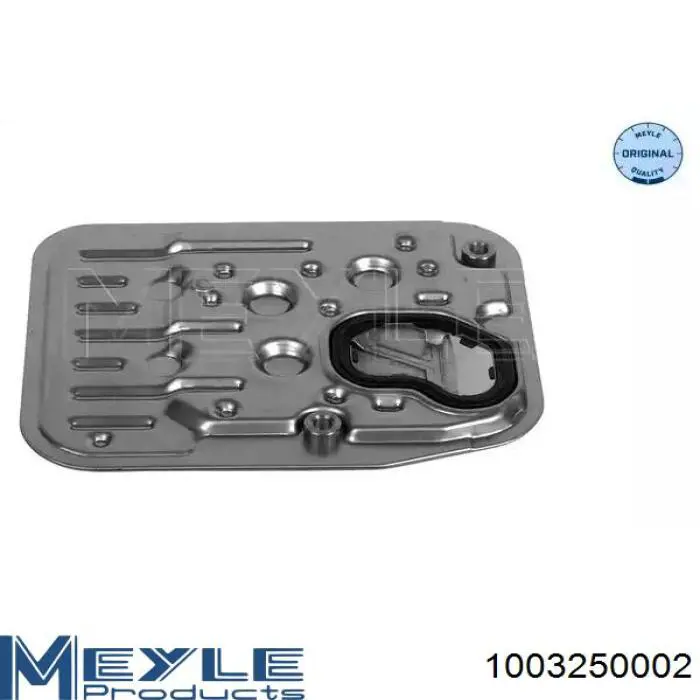 Compre 303250429095D Dello/Automega Filtro da Caixa Automática de Mudança