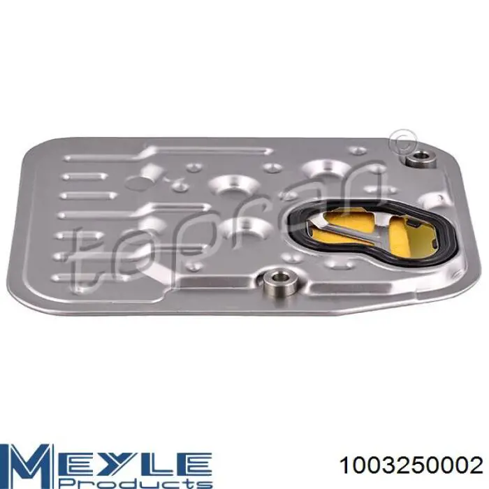 Compre 1003250002 Meyle Filtro da Caixa Automática de Mudança