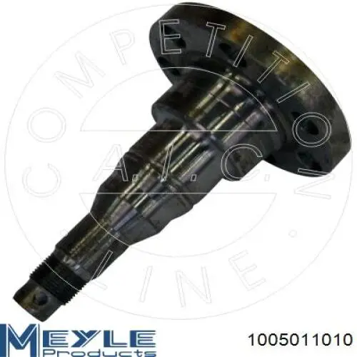 Compre 1005011010 Meyle Pino moente (extremidade do eixo) traseiro