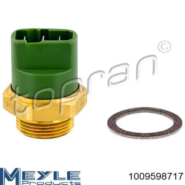 Compre 1009598717 Meyle Sensor de temperatura do fluido de esfriamento (de ativação de ventilador do radiador)