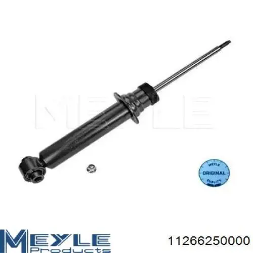 Amortecedor dianteiro RS313562 Raiso