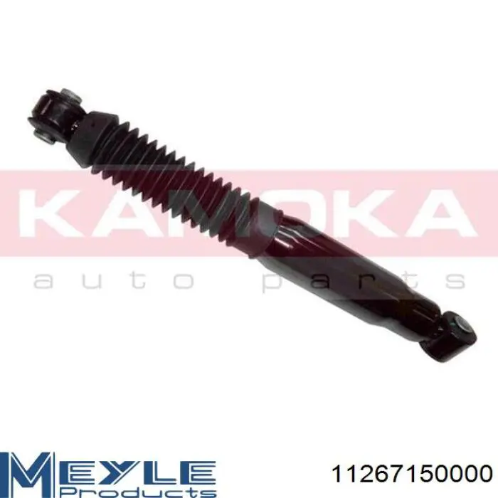 Compre RS280435 Raiso Amortecedor traseiro