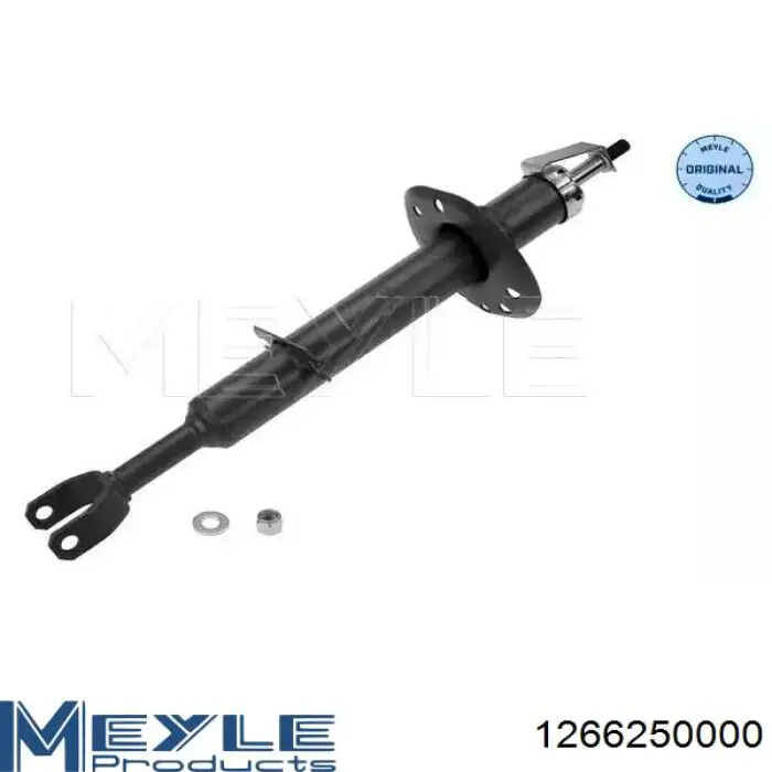 Compre RS316997 Raiso Amortecedor dianteiro