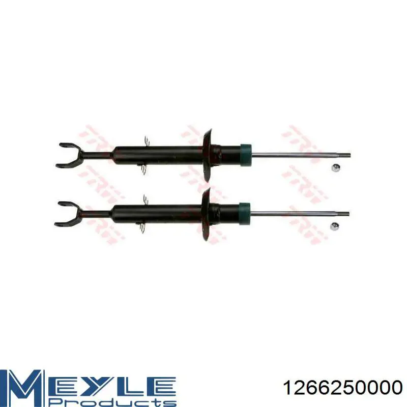 Amortecedor dianteiro RS316997 Raiso