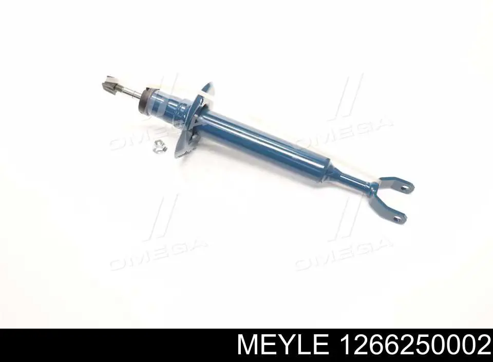 Amortecedor dianteiro RS170811 Raiso