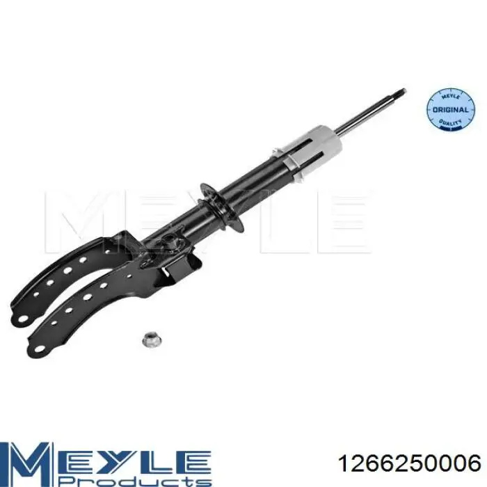 Compre RS317241 Raiso Amortecedor dianteiro esquerdo