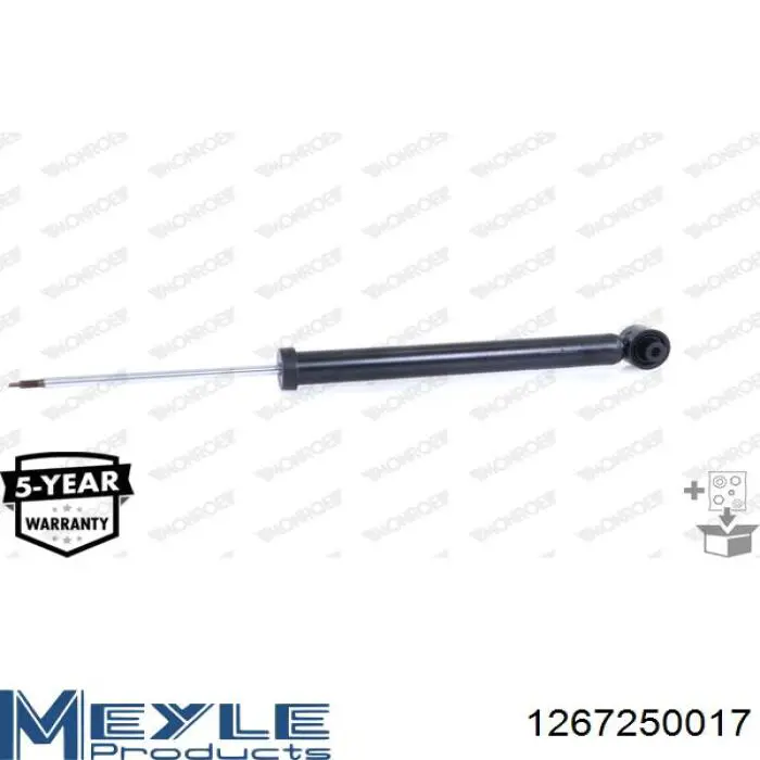Compre RS318202 Raiso Amortecedor traseiro