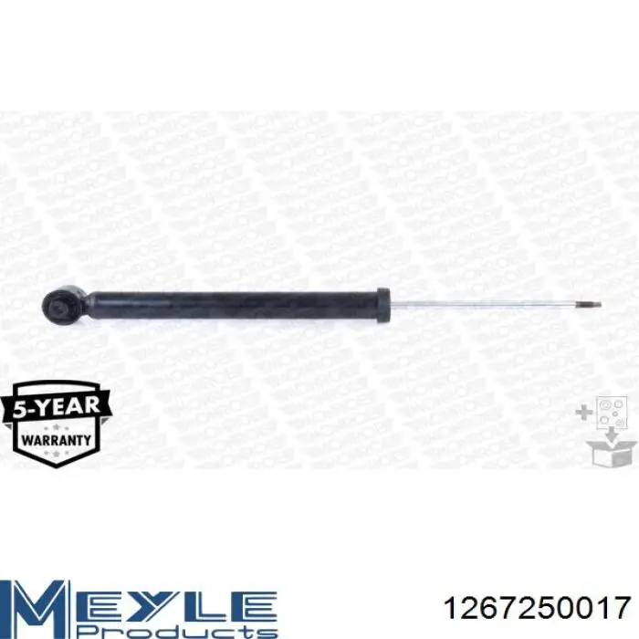 RS318202 Raiso Amortecedor traseiro