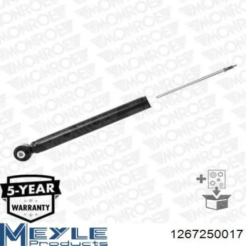 Amortecedor traseiro RS318202 Raiso