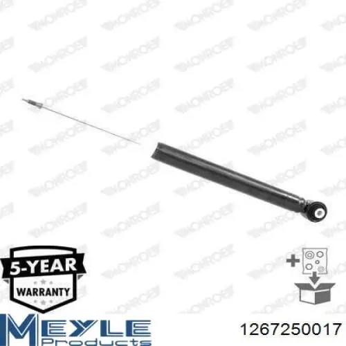 Amortecedor traseiro Raiso RS318202 preço, a partir de 52,76 USD