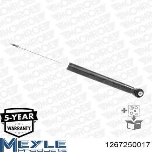 Amortecedor traseiro Raiso RS318202 preço, a partir de 52,76 USD