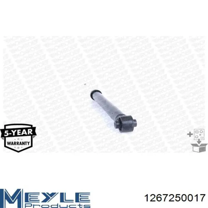 Amortecedor traseiro Raiso RS318202