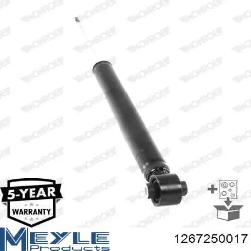 Compre RS318202 Raiso Amortecedor traseiro
