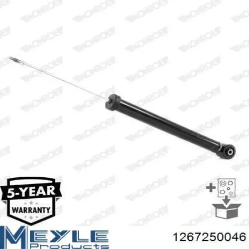Amortecedor traseiro Raiso RS556273 preço, a partir de 49,75 USD