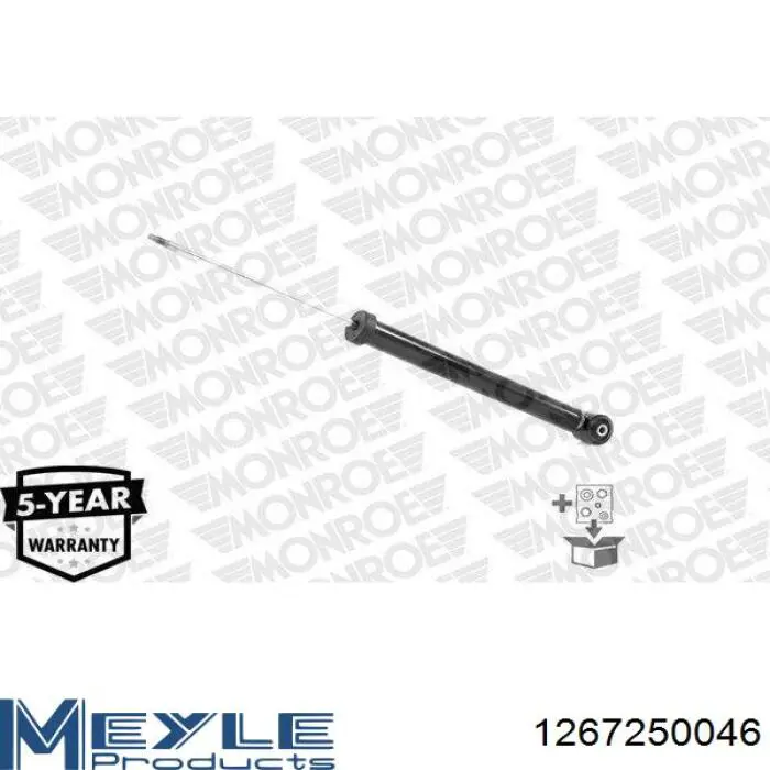RS556273 Raiso Amortecedor traseiro