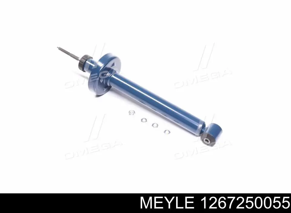Compre RS105739OIL Raiso Amortecedor traseiro