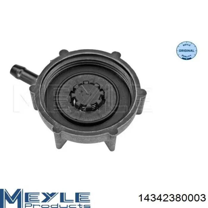 Compre 1399820 DAF Tampa (tampão) do tanque de expansão