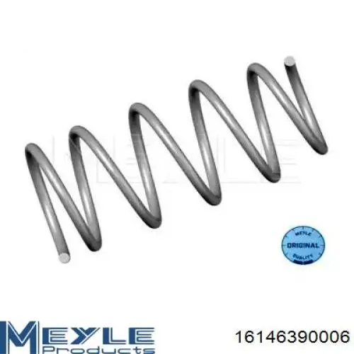 Mola dianteira 16146390006 Meyle