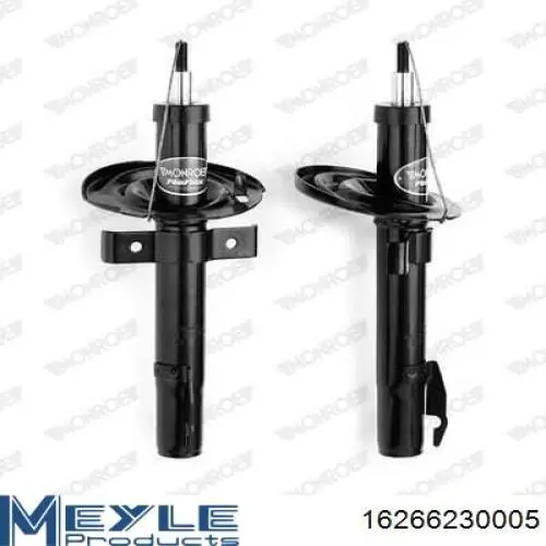 Compre RS313446 Raiso Amortecedor dianteiro