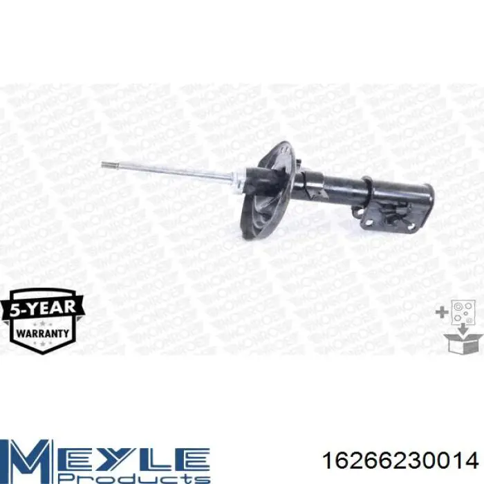 Compre RS317420 Raiso Amortecedor dianteiro