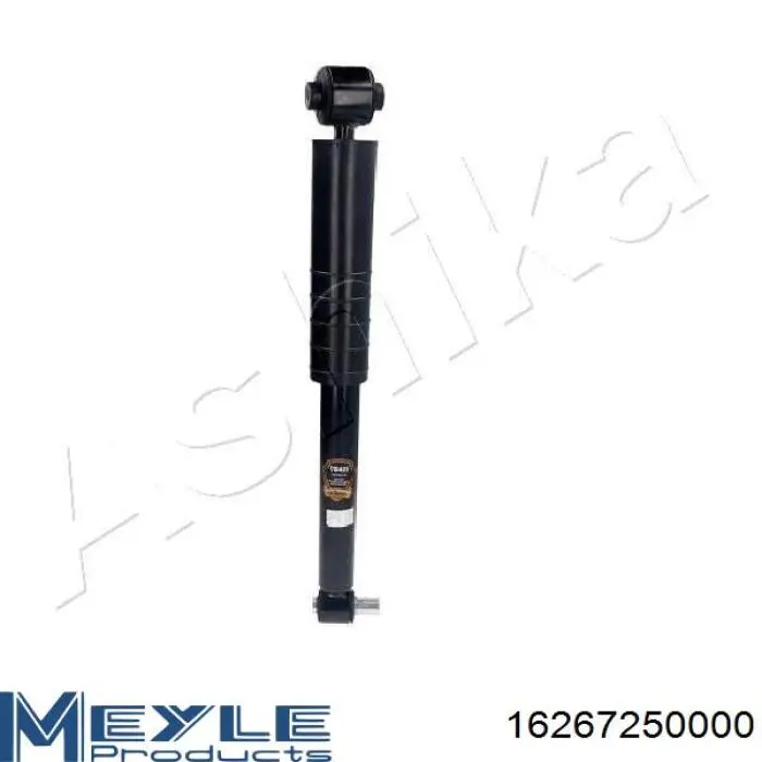 Compre RS290739 Raiso Amortecedor traseiro