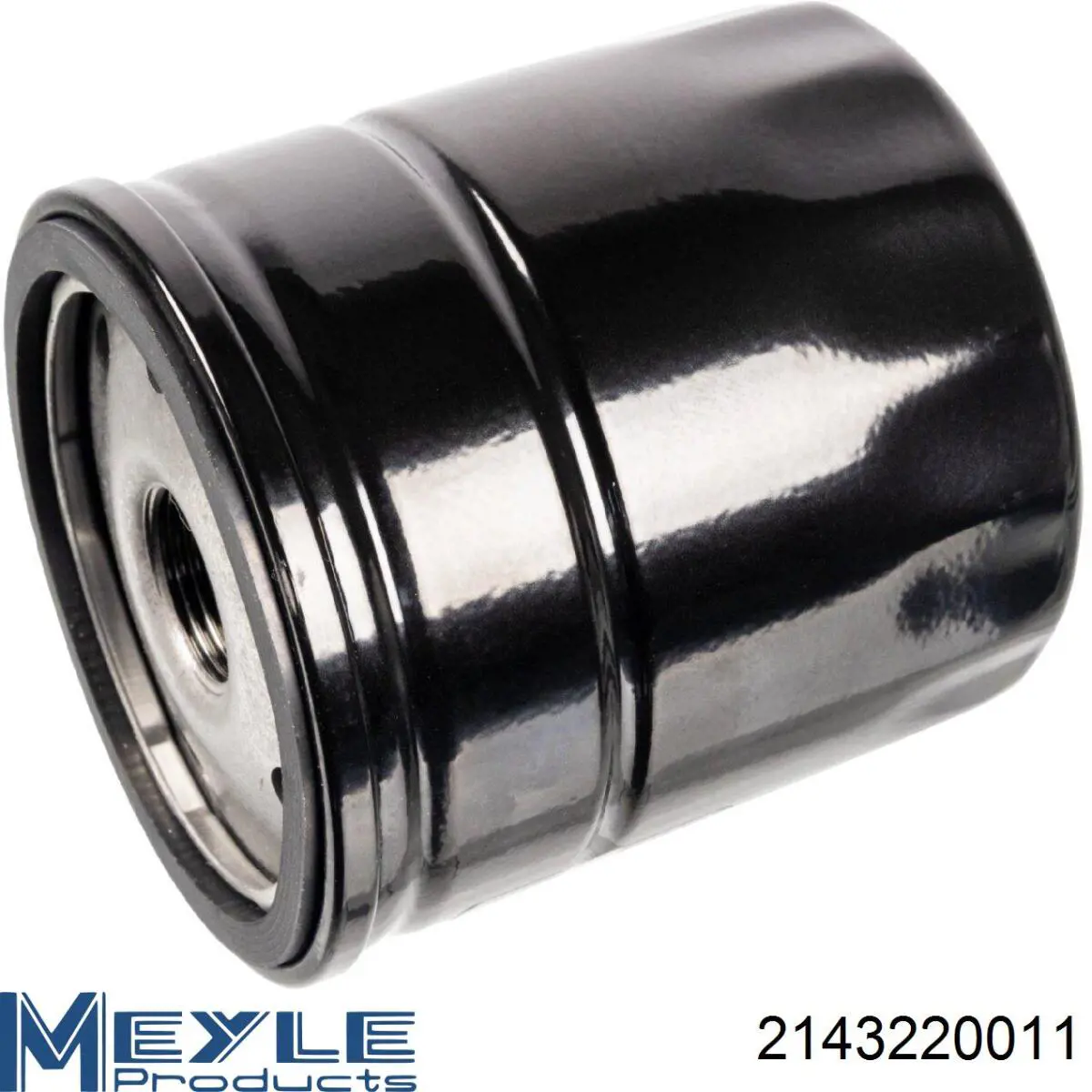 Filtro de óleo 6000633313 Fiat/Alfa/Lancia