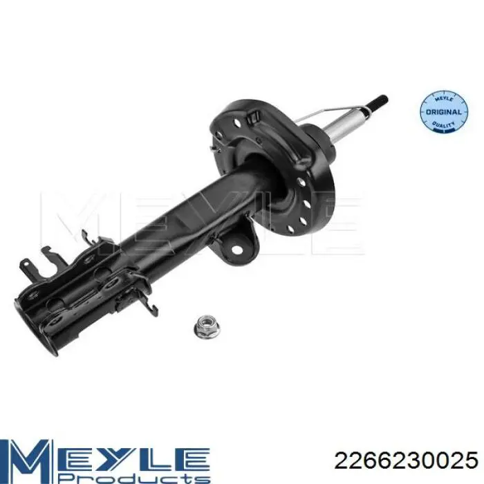 51956058 Fiat/Alfa/Lancia Amortecedor dianteiro esquerdo