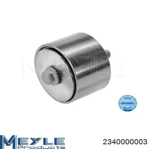 Rolo parasita da correia de transmissão 504006261 Iveco