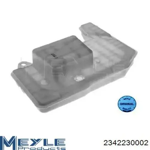 Tanque de expansão do sistema de esfriamento 5802411213 Iveco