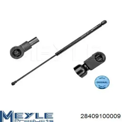 Amortecedor da capota 42540134 Iveco