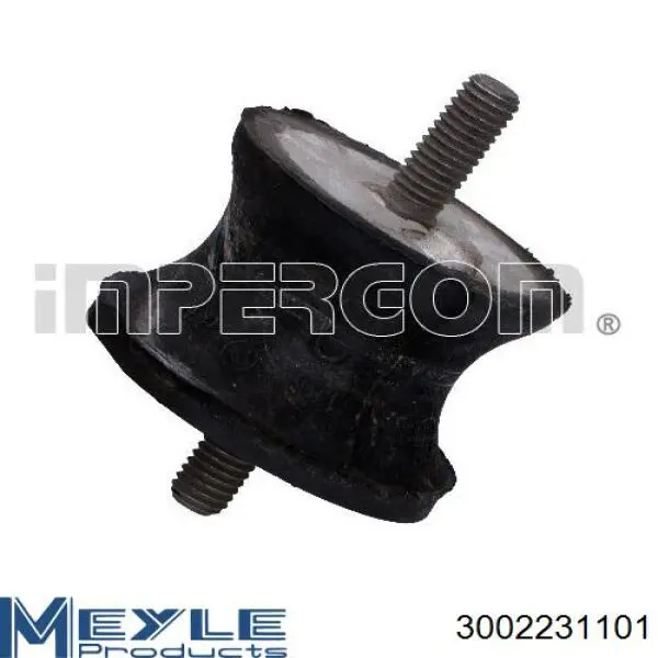 Compre 3002231101 Meyle Coxim de transmissão (suporte da caixa de mudança)