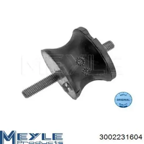 Coxim (suporte) traseiro de motor 37003 Lemforder