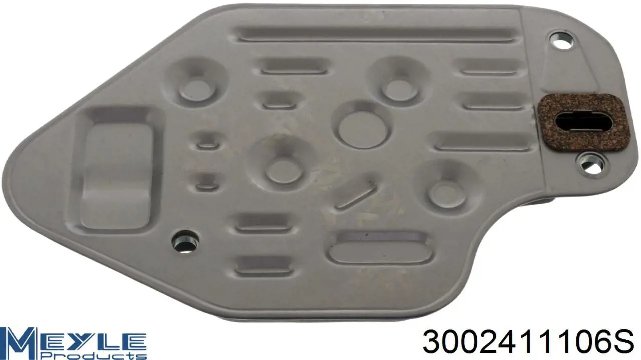 Compre 3002411106S Meyle Filtro da Caixa Automática de Mudança